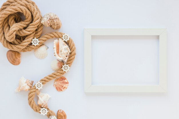 Sea shells with nautical rope and frame