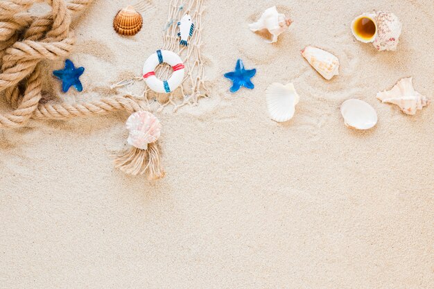 Sea shells with nautical rope on sand