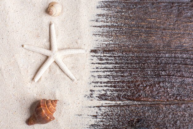 Морские раковины с песком в качестве фона и copyspace, концепция лета