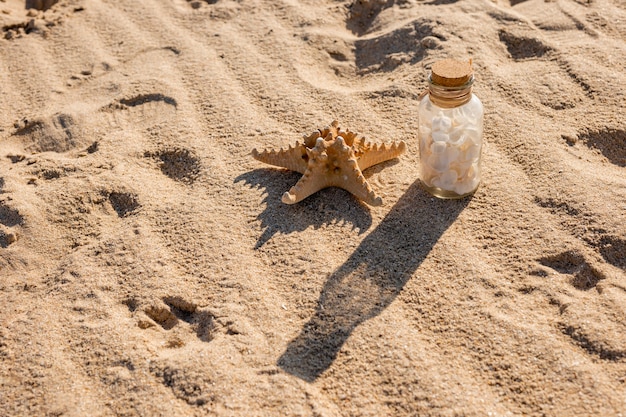 海の星と砂浜のビーチで貝殻の瓶