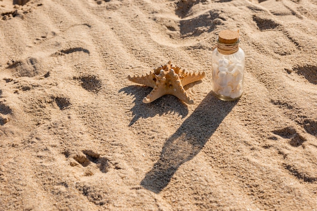 Sea star and jar with shells on sandy beach