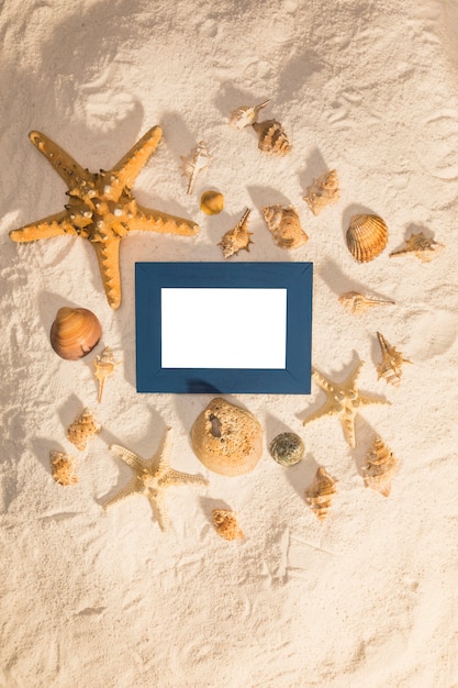 Free photo sea stars and shells around photo frame