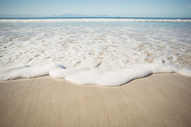 Sea Surf on Beach