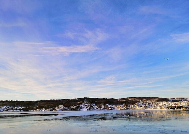 Sea surrounded by buildings and greenery under the sunlight in Larvik in Norway