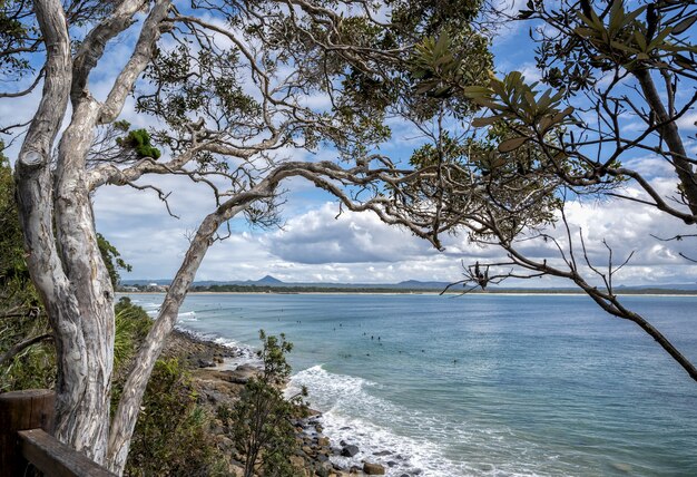 Sea surrounded by greenery under a blue cloudy sky in Noosa National Park, Queensland, Australia