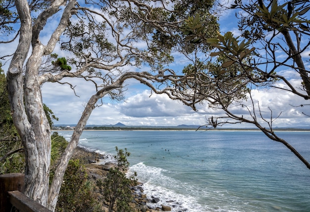 Sea surrounded by greenery under a blue cloudy sky in Noosa National Park, Queensland, Australia