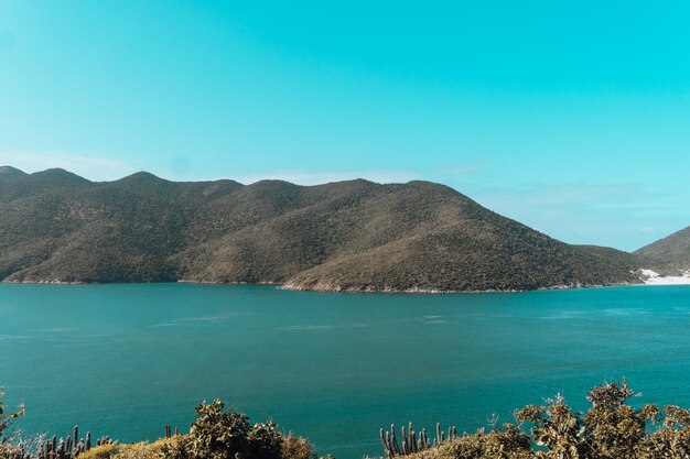 Sea surrounded by hills covered in greenery under a blue sky and sunlight in Rio de Janeiro