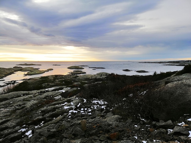 ノルウェーの日没時に曇り空の下で枝に覆われた岩に囲まれた海