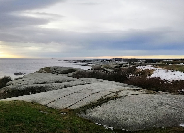 Sea surrounded by rocks covered in branches under a cloudy sky during the sunset in Norway