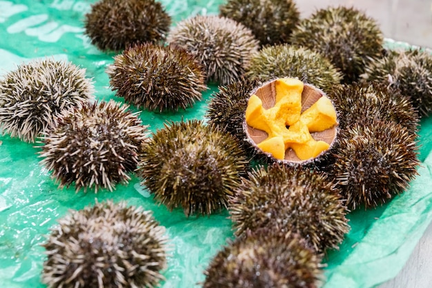 Premium Photo Close Up Fresh Raw Sea Urchin Uni Or Shabby Or Sashimi premium-photo-close-up-fresh-raw-sea-urchin-uni-or-shabby-or-sashimi