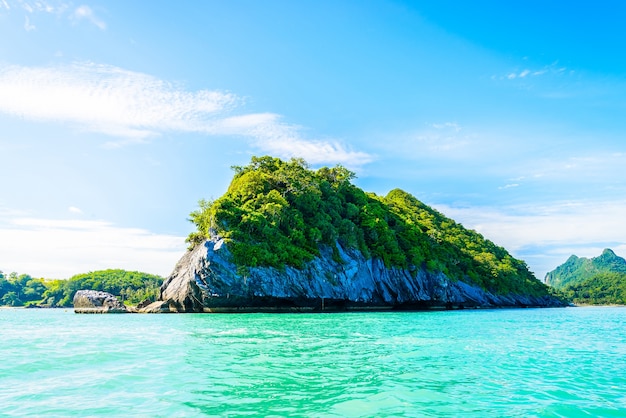 Free Photo sea vacation nature paradise tree