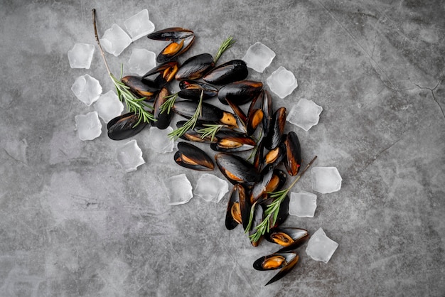 Free photo seafood mussels surrounded by ice cubes