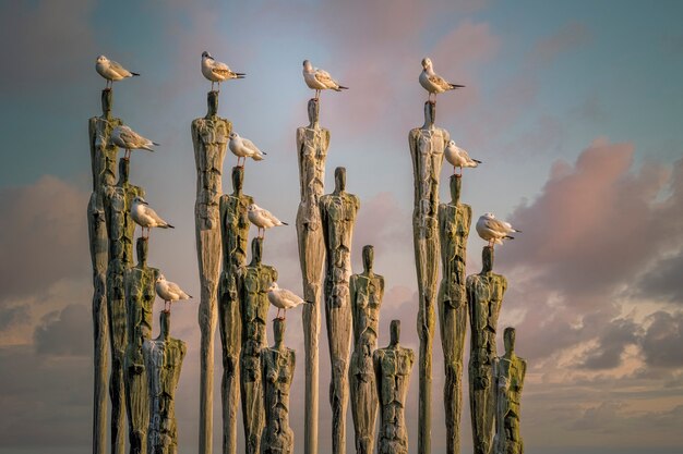 Seagulls on a rocky formations with human body shape