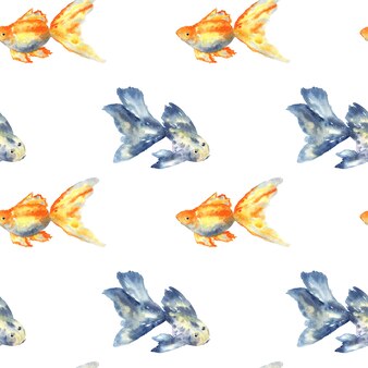 美しい金魚 手描きの水彩イラスト 孤立 プレミアム写真 美しい金魚 手描きの水彩イラスト 孤立 プレミアム写真