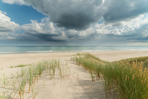 Seascape of the calm sea, empty beach with few grasses and the cloudy sky