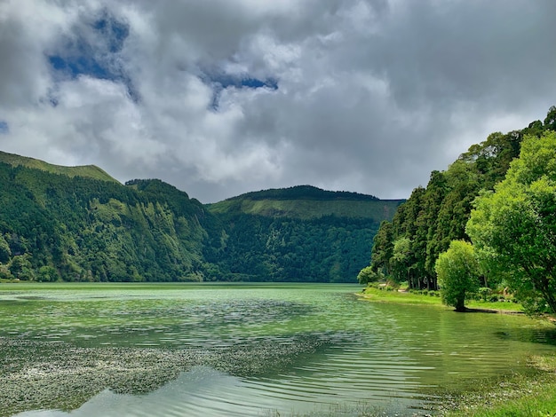 A seascape view with a green water surface and hills covered with lush greenery on the sides