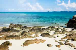 Free photo seascape with rock and cloud