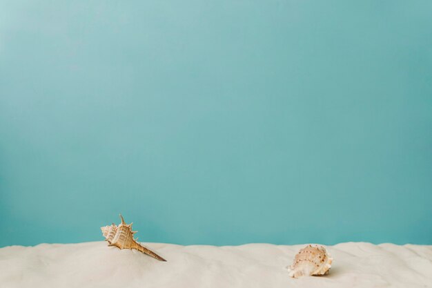 青い背景に砂の上に貝殻
