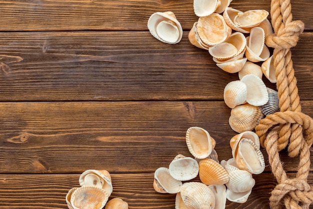 Seashells border on wood marine background