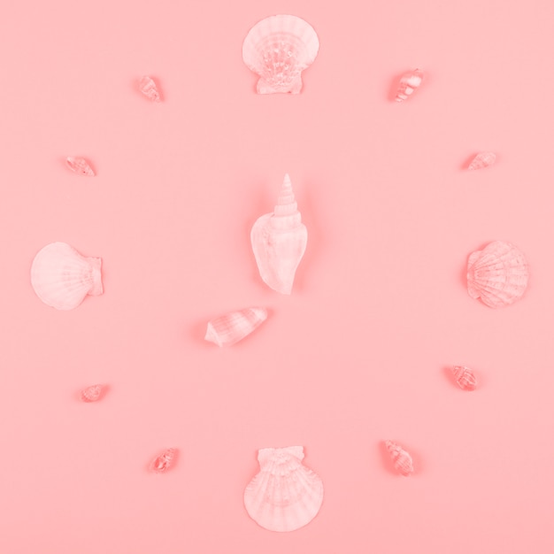 Seashells decoration on pink background