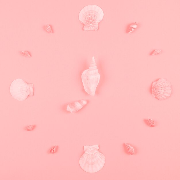ピンクの背景に貝殻の装飾