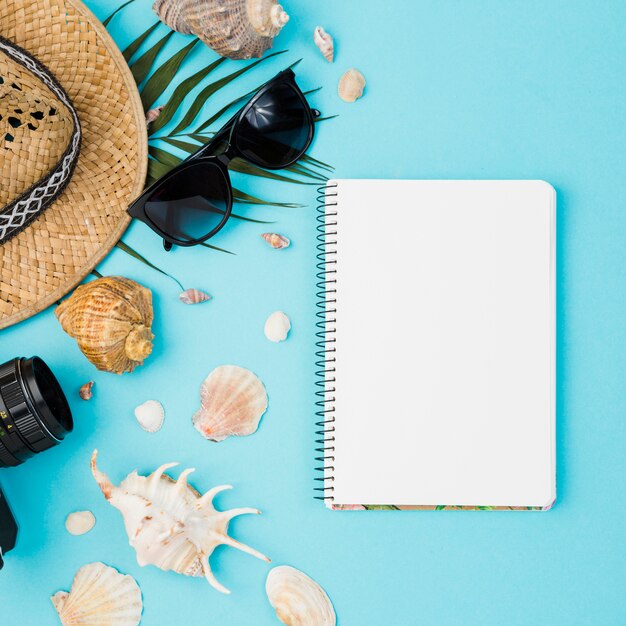 Seashells and hat with plant near camera and sunglasses with notepad