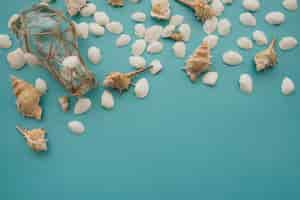 Foto gratuita seashells, molluschi e bottiglia