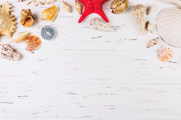 Free photo seashells and starfish near compass