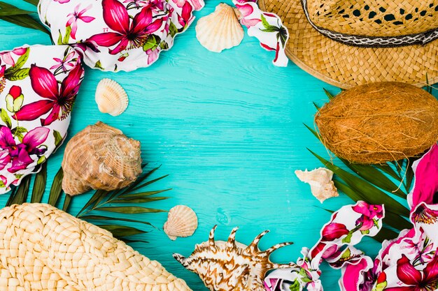 Seashells and swimsuit near plant leaves with hat and coconut