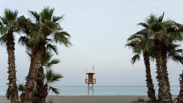 Вид на море с башней спасателей и пальмами