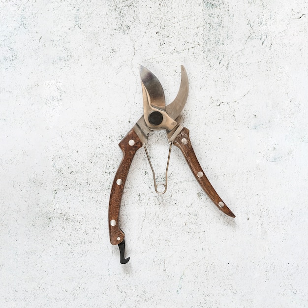 Secateurs on white concrete backdrop