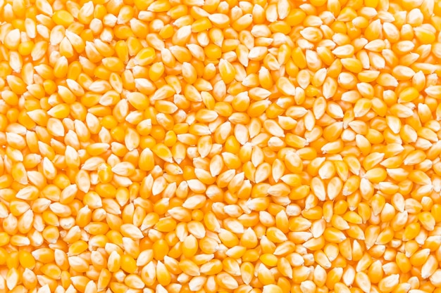 Семена кукурузы поп органическим едят