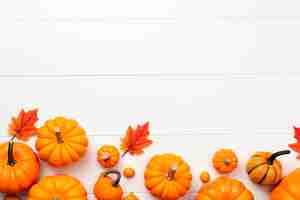 Free photo selection of various pumpkins on white wooden background with copy space autumn vegetables and seasonal decorations