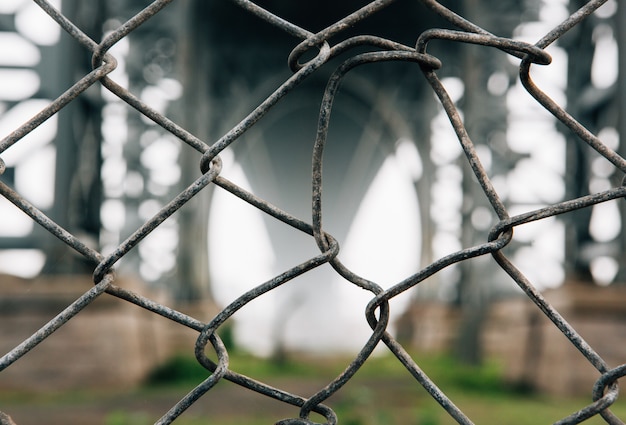 Selective closeup shot of chain link fence