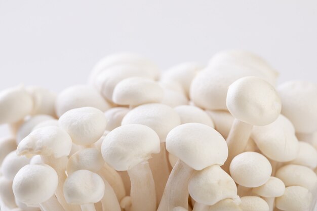 Selective focus closeup of cultured mushrooms