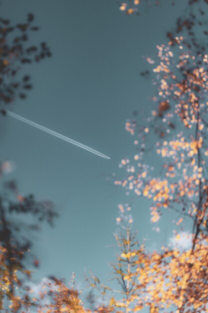 Selective Focus Of Contrails