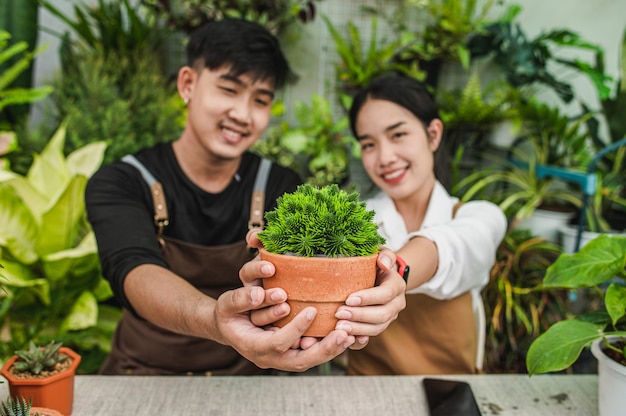 Selective focus, hands of young gardener couple holding houseplant for showing