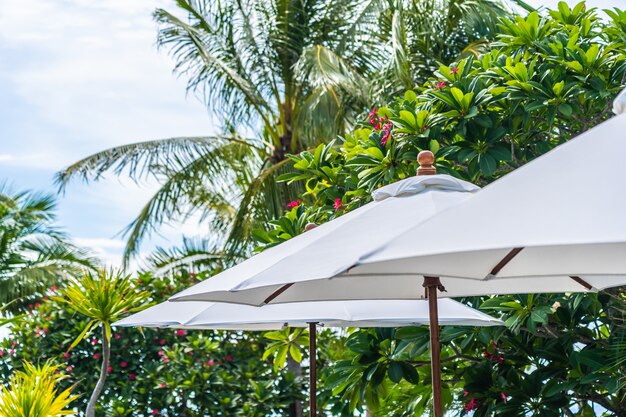 Selective focus point on umbrella with coconut palm tree on the background for holiday vacation