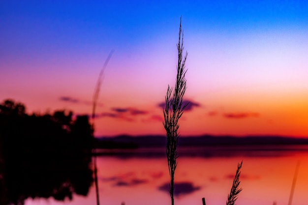 Free photo selective focus shot of a beach at beautiful sunset