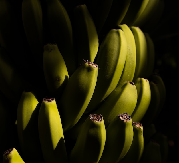 Selective focus shot of a bunch of bananas