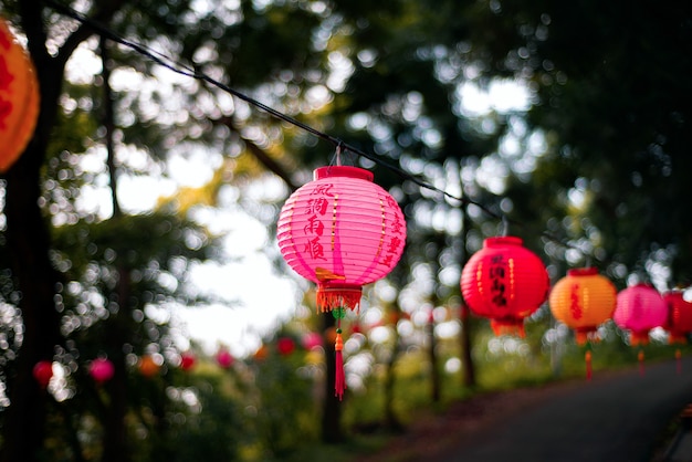 Selective focus shot of a pink Chinese lantern hanging on a wire