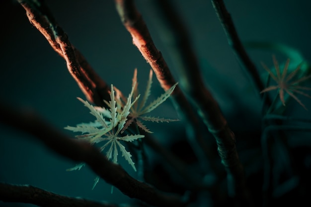 Selective focus shot of plants growing on a branch