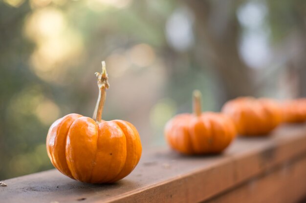 Selective focus shot of pumpkins set on a wooden surface