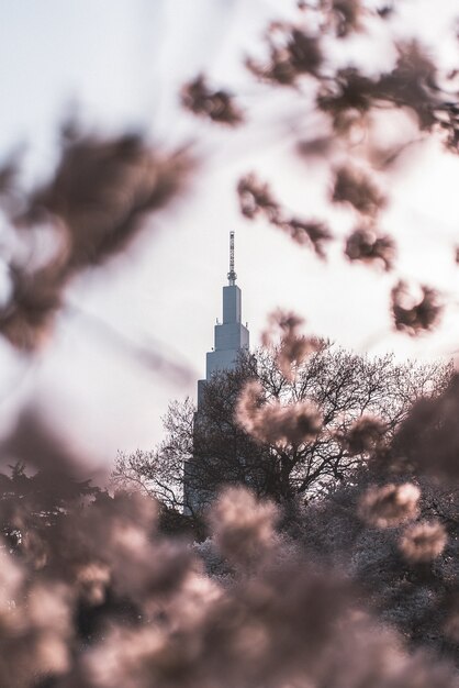 Selective focus of tower building