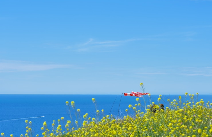 無料Photo 海の旗を振ることに選択的に焦点を当てます。セレクティブフォーカス、ぼやけた空。自然の美しさ、黒海沿岸の風景、横向きの写真