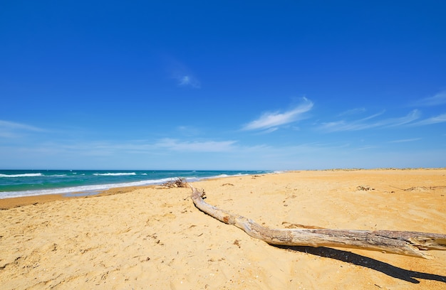 Селективный фокус на деревянном бревне, лежащем на песке. Песчаный дикий пляж, синее море с облаками и голубое небо на побережье. Красивый океан открытый природный ландшафт,