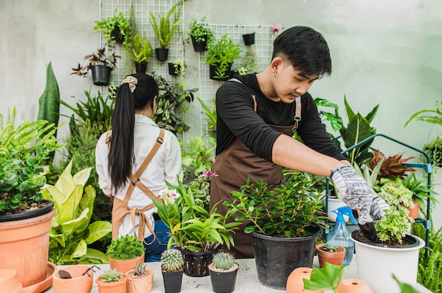 選択的な焦点、若い男性はシャベル移植を使用し、観葉植物の世話をします、女性は彼の後ろで働いています