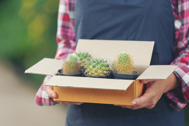 Продажа растений онлайн; крупным планом руки держат транспортировочную коробку, полную горшков с растениями
