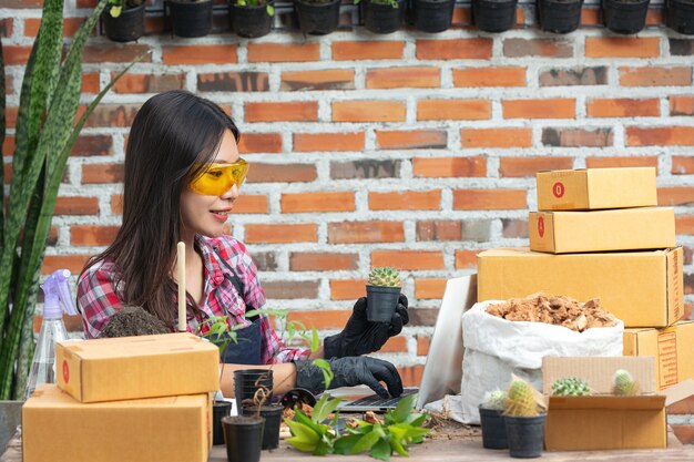 Selling plant online; woman holding a pot of plant and using laptop