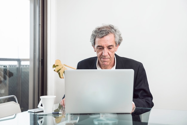 Senior businessman using laptop in the office